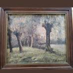 Raymond Carlé, knotwilgen aan rivier, Ophalen of Verzenden