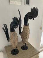 2 prachtige hanen Dehoka, Ophalen