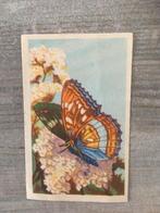 Chromo Chocolat L'Aglon - Série Papillons n 313, Collections, Enlèvement ou Envoi