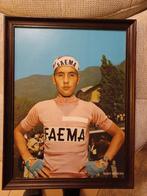 Eddy merckx, Ophalen of Verzenden
