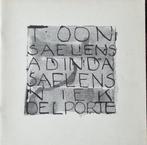 Toon Saelens - Adinda Saelens - Niek Delporte - 1991, Gelezen, Ophalen of Verzenden, Walter De Wilde, Schilder- en Tekenkunst