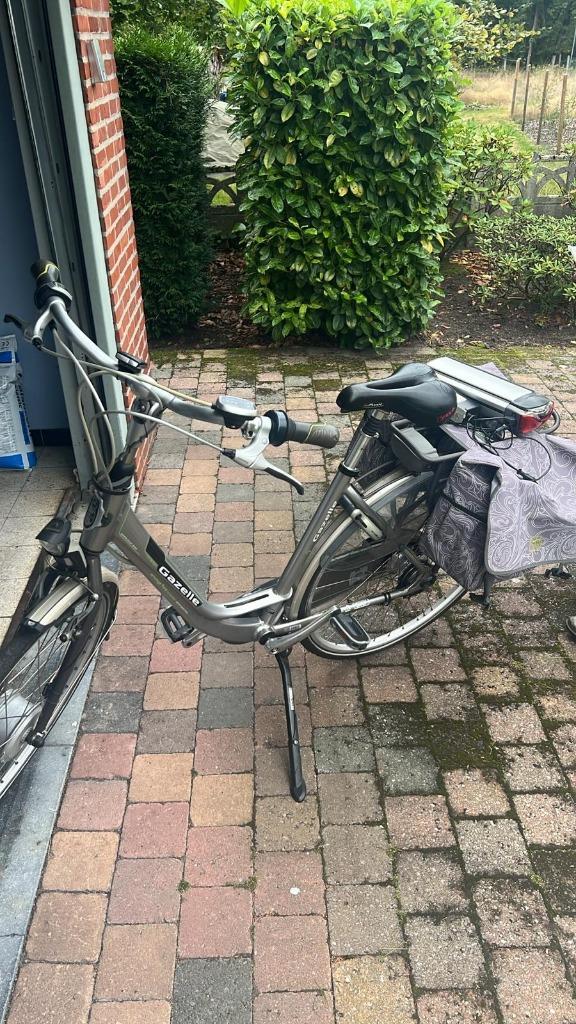 Elektrische fiets, Fietsen en Brommers, Elektrische fietsen, Ophalen