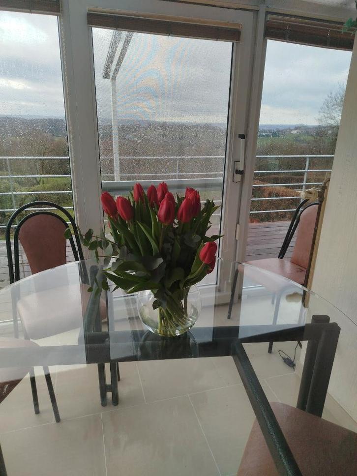 Table en verre + 5 chaises, Maison & Meubles, Armoires | Mobilier de télévision, Comme neuf, Moins de 100 cm, 100 à 150 cm, Verre