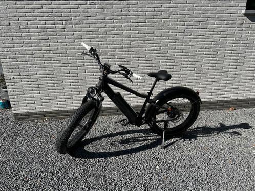 Radrhino 6 plus (fatbike), Fietsen en Brommers, Elektrische fietsen, Ophalen