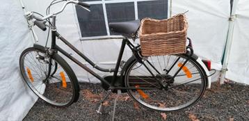 Vélo néerlandais 50 euros