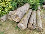 Elzenhout stammen 2 meter lang, van 30 tot 60 cm doorsnede., Tuin en Terras, Brandhout, Ophalen, Elzenhout, Stammen