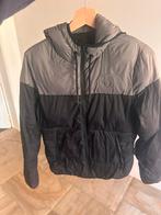 Cavalleria toscana jas, Dieren en Toebehoren, Paardrijkleding, Gebruikt, Overige soorten, Ophalen of Verzenden, Dames