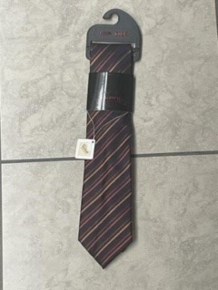 Feestelijke, zijden, heren das (ge/ro/br/bl) -plastron NIEUW, Kleding | Heren, Stropdassen, Nieuw, Met patroon, Overige kleuren