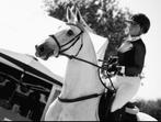 Mooie en betrouwbare 12 jarige ruin, Dieren en Toebehoren, Paarden, Springpaard, Gechipt, Ruin, M