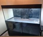 Aquarium 150 cm breed, Ophalen, Zo goed als nieuw