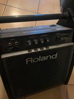 Roland PM-100-versterker, Muziek en Instrumenten, Versterkers | Bas en Gitaar, Ophalen, Gebruikt, Basgitaar, 50 tot 100 watt