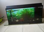 juwel aquarium met alle toebehoren en nog in werking 80 cm, Dieren en Toebehoren, Ophalen