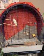 Cage à oiseaux grande taille, Dieren en Toebehoren, Vogels | Hokken en Kooien, Ophalen, Zo goed als nieuw, Vogelkooi