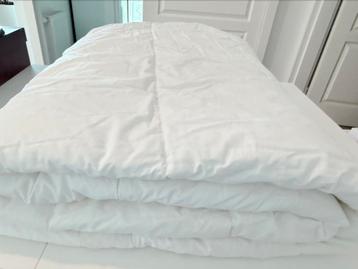 Dekbed / donsdeken te koop beschikbaar voor biedingen