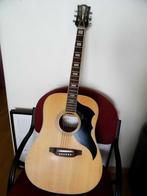 • EKO Vintage 6 Ranger elektro-akoestisch. Uitstekende condi, Ophalen, Zo goed als nieuw, Western- of Steelstringgitaar