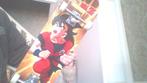 SKATE  sangoku dbz de 1989, Ophalen
