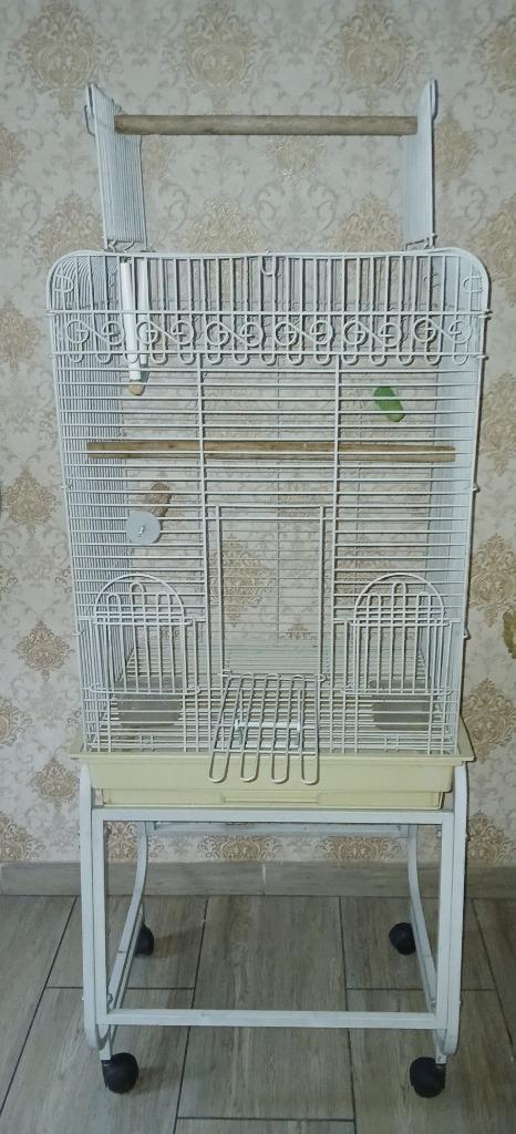 Grote papegaaienkooi met complete accessoires, Dieren en Toebehoren, Vogels | Hokken en Kooien, Ophalen of Verzenden