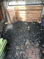 Charbon, Ophalen, Nieuw