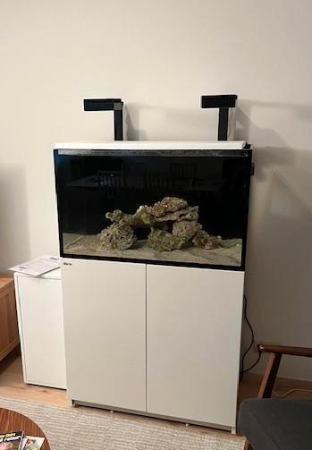 aquarium marin complet avec coraux & poissons, Dieren en Toebehoren, Vissen | Aquaria en Toebehoren, Zo goed als nieuw, Gevuld zeewateraquarium