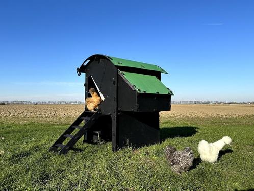 Kunststof Kippenhok - Nestera Medium Verhoogd, Dieren en Toebehoren, Pluimvee | Toebehoren, Nieuw, Kippenhok of Kippenren, Ophalen of Verzenden
