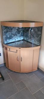 Aquarium juwel trigon 190 litre, Dieren en Toebehoren, Ophalen of Verzenden, Gebruikt, Leeg aquarium