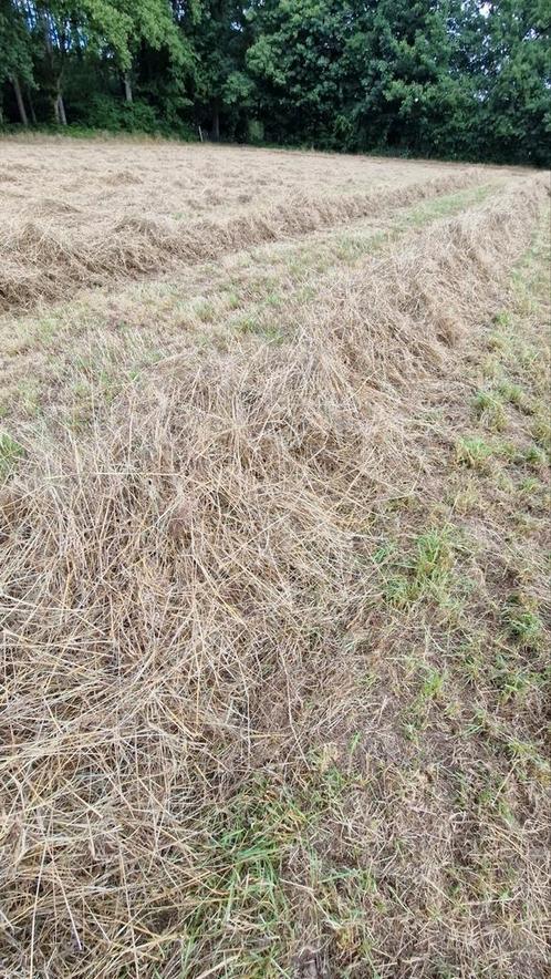 Midibalen voordroog juli 2024 en 2025, Dieren en Toebehoren, Dierenvoeding, Ophalen