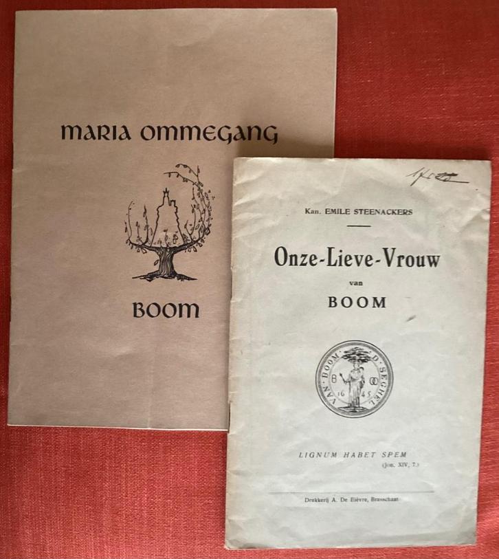 O.L.Vrouw van BOOM, Boeken, Geschiedenis | Stad en Regio, Gelezen, Ophalen of Verzenden