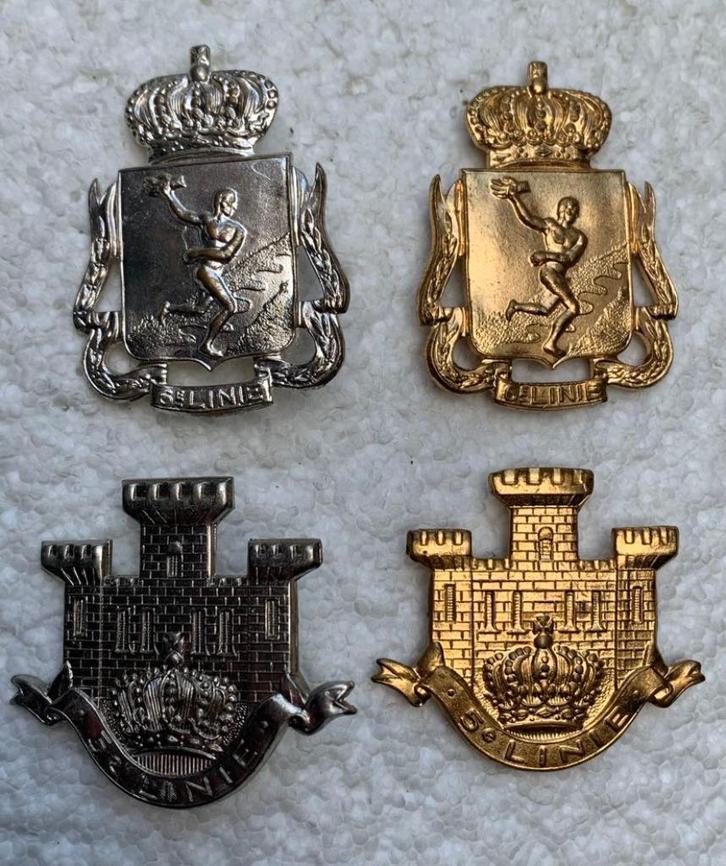 Kenteken, 5de LINIE + 6de LINIE mutskentek, Zilver+Goud, Verzamelen, Militaria | Algemeen, Landmacht, Embleem of Badge, Ophalen of Verzenden