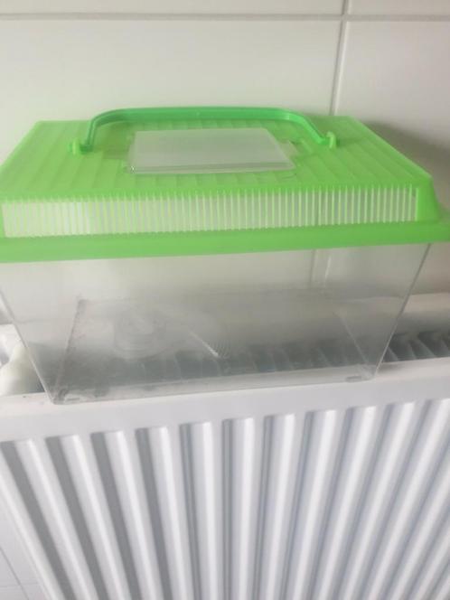 Te koop klein aquarium !!, Dieren en Toebehoren, Overige Dieren-accessoires, Zo goed als nieuw, Ophalen