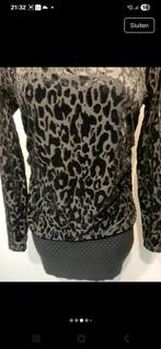 Blouse L/40/12, Kleding | Dames, Homewear, Ophalen