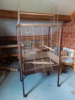 vogelkooi/papegaaienkooi op wielen, Dieren en Toebehoren, Vogels | Hokken en Kooien, Ophalen, Zo goed als nieuw, Vogelkooi