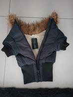 2 manteaux hiver+bottes petit chien Neuf., Ophalen, Nieuw