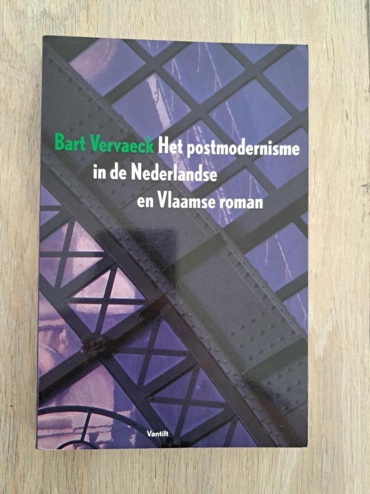 Boek Het postmodernisme in de Nederlands en Vlaamse roman, Boeken, Studieboeken en Cursussen, Gelezen, Hoger Onderwijs, Ophalen of Verzenden