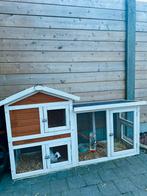3 jonge mini konijnen en een konijnenhok te koop, Dieren en Toebehoren, Knaagdieren en Konijnen | Hokken en Kooien, Ophalen of Verzenden
