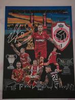 Schilderij Alderweireld, Ophalen of Verzenden