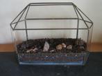 mini serre in glas voor bv cactussen of vetplanten, Ophalen, Overige materialen, Gebruikt, Minder dan 40 cm