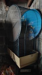 Vogelkooi, Dieren en Toebehoren, Ophalen, Vogelkooi