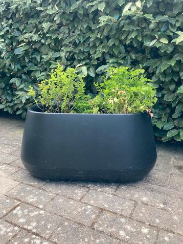 Elho pure cone long zwart bloempot plantenbak kruidenbak beschikbaar voor biedingen