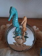 Zeepaardtjes en crab, samen 25 euro, Ophalen