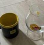 Lipton Ice tea: 1 beker/tas en 1 glas, Ophalen of Verzenden, Gebruikt, Frisdrankglas