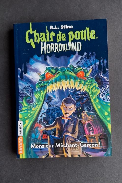 Livre Chair de poule Horrorland - Monsieur Méchant-Garçon, Boeken, Kinderboeken | Jeugd | 10 tot 12 jaar, Gelezen, Ophalen of Verzenden