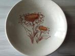Assiettes creuses ou à soupe, Ophalen of Verzenden, Zo goed als nieuw, Bord(en)