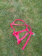 Licol rose pour cheval NEUF taille FULL, Animaux & Accessoires, Enlèvement ou Envoi, Neuf, Dressage
