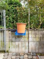 Plastiek bloempotten..35 hoog en diameter 40 cm. 7stuks., Jardin & Terrasse, Plantes | Arbres, Enlèvement