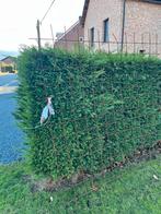 Betonnet 8mm  15x15cm 2x2m, Ophalen, Zo goed als nieuw