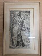 Gustaaf De Bruyne - Werkelijkheid en Verbeelding, Enlèvement