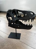 T-Rex Schedel 1/10 Schaal Model, Antiek en Kunst, Ophalen of Verzenden