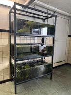 Aquarium kweekstelling compleet, Ophalen of Verzenden