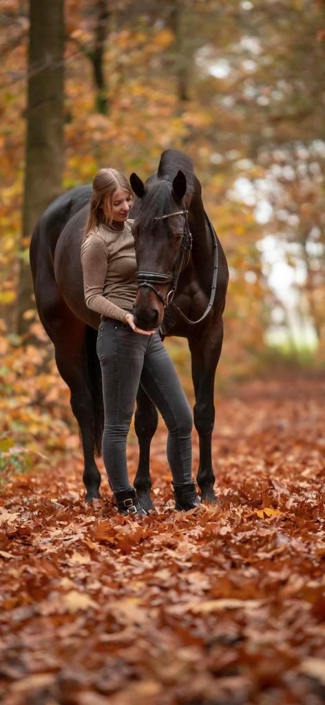 Mooie en brave 7- jarige merrie, Dieren en Toebehoren, Paarden, Merrie, Niet van toepassing, 165 tot 170 cm, 7 tot 10 jaar, Recreatiepaard