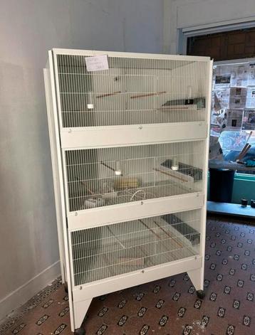 Cage élevage oiseaux / kweekkooi vogels beschikbaar voor biedingen